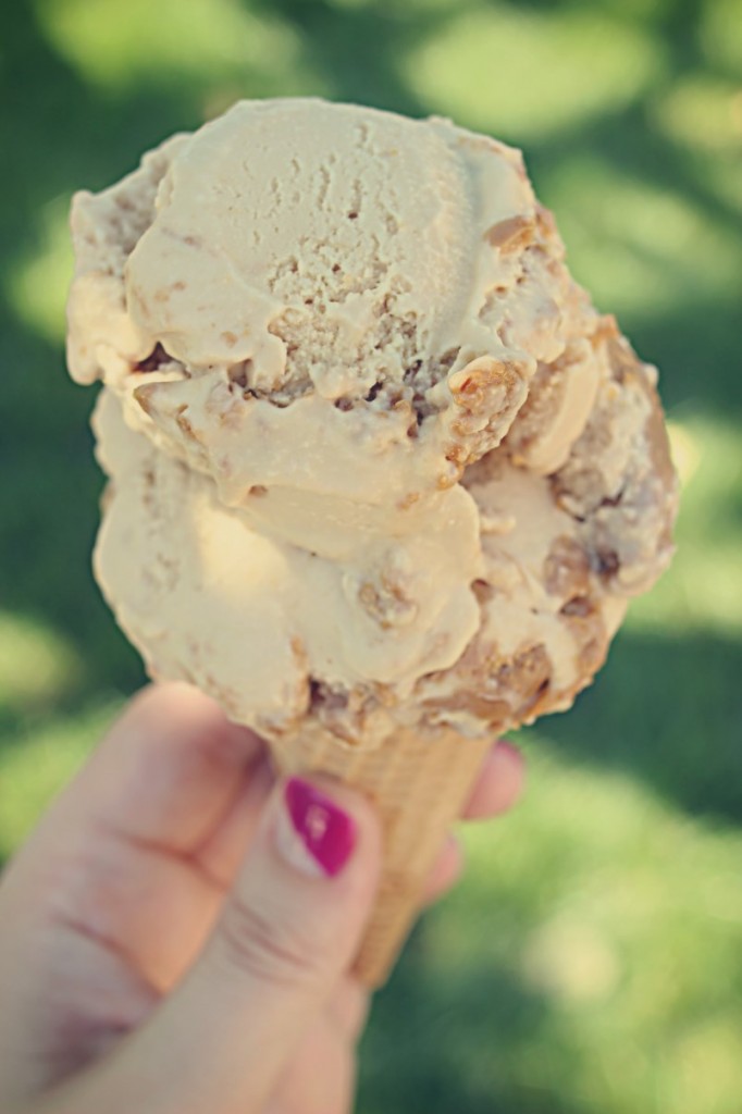cookie butter ice cream